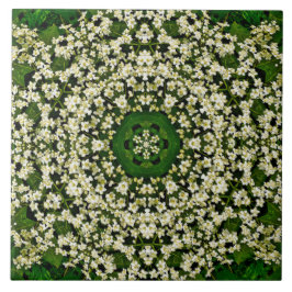 Azulejos cerámicos de primavera