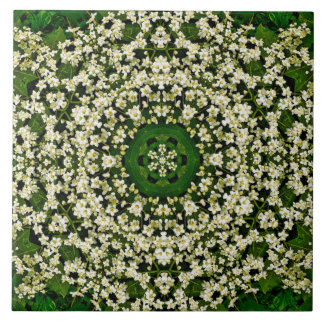 Azulejos cerámicos de primavera