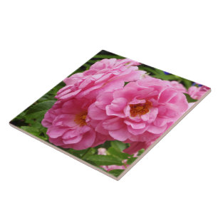 AZULEJOS CERAMICOS DECORATIVOS. "ROSAS FRILLY DE C