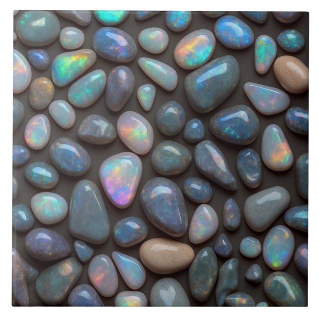 Azulejos cerámicos del suelo (Frente)