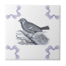 Azulejos de Acento Azul de Pájaro