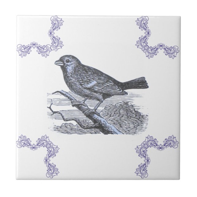 Azulejos de Acento Azul de Pájaro (Frente)