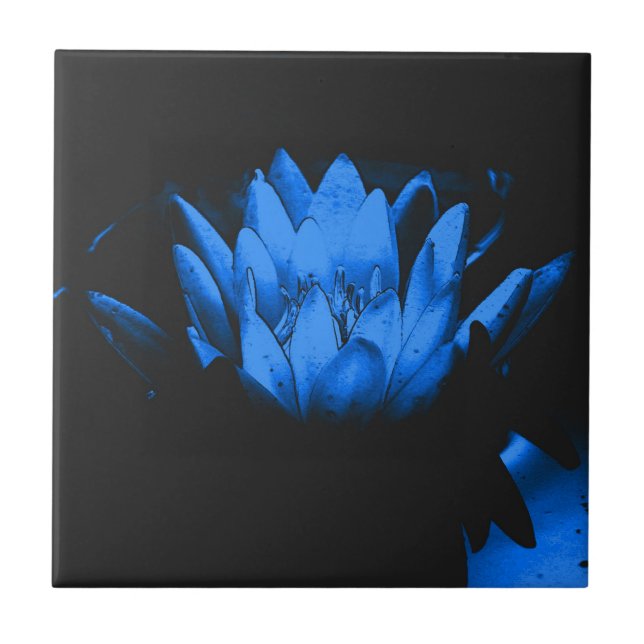 Azulejos de arte floral azul brillante Lotus (Frente)