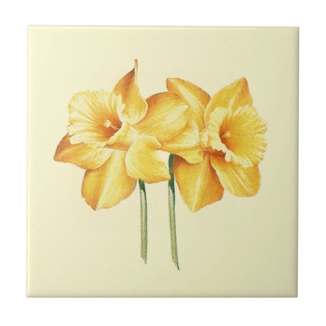 Azulejos de cerámica amarillo Daffodil (Frente)