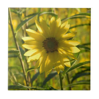 Azulejos de cerámica de brillo de girasol