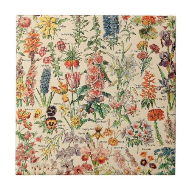 Azulejos de cerámica de flores de época (Frente)