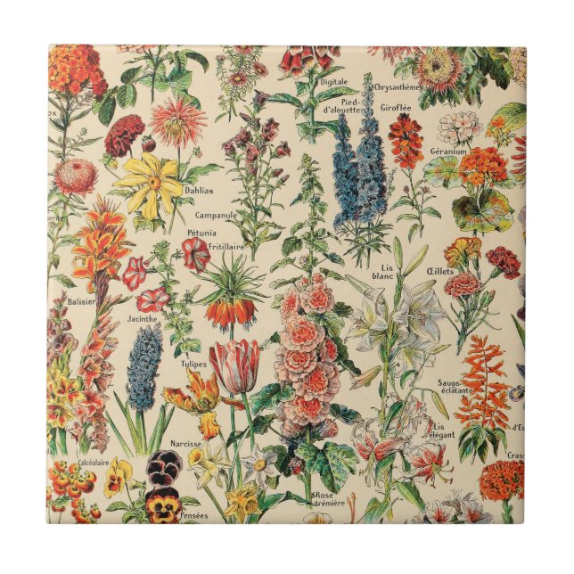 Azulejos de cerámica de flores de época (Frente)