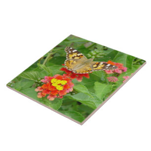 Azulejos de flores de mariposa