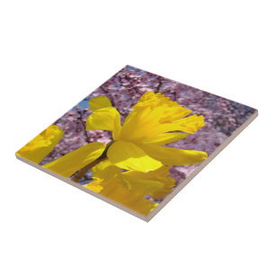 Azulejos de flores de narciso Arte Decorativo Prim