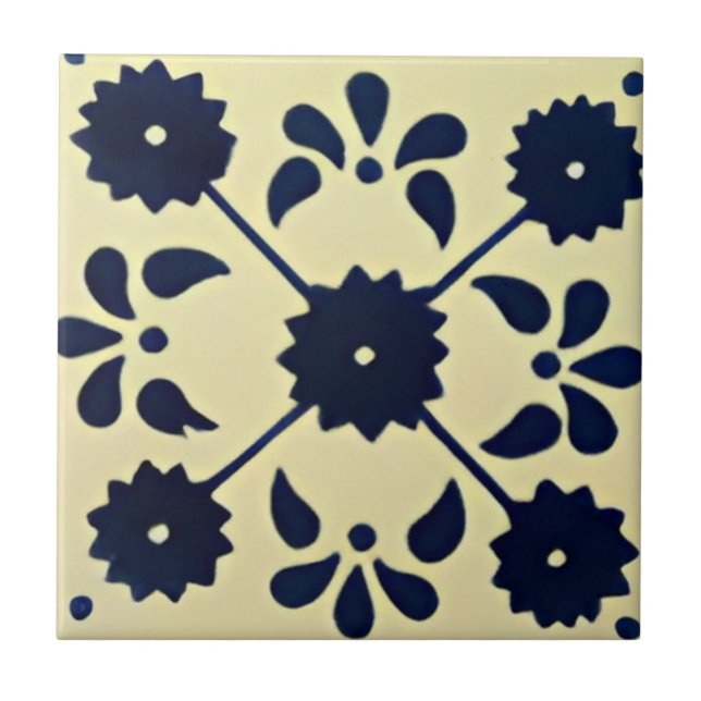 azulejos de lujo de Portugal (Frente)
