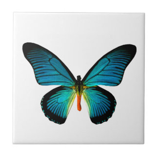 Azulejos de mariposa azul