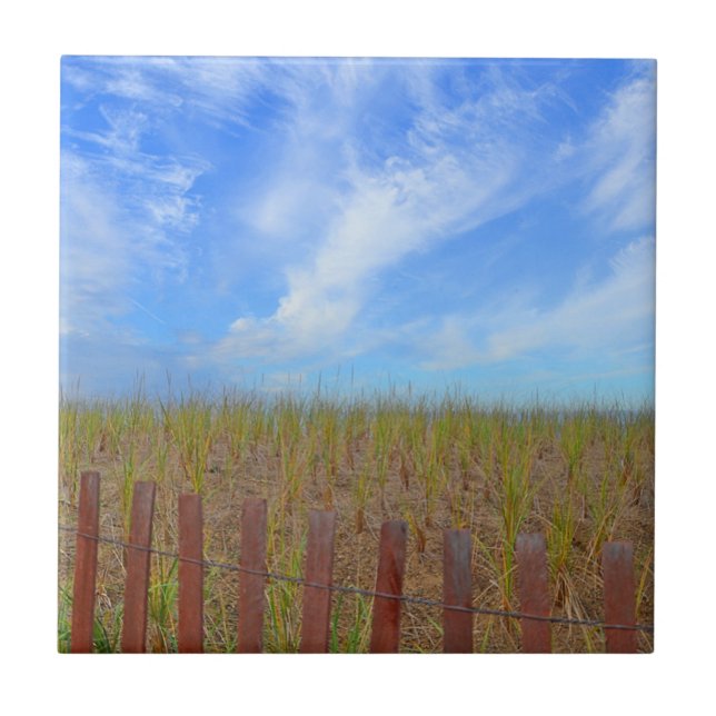 Azulejos De Playa De Hammonasset (Frente)