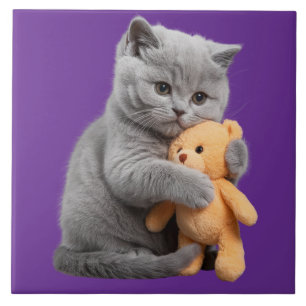 Azulejos decorativos británicos de Shorthair y Ted