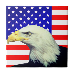 Azulejos decorativos con bandera y águila norteame