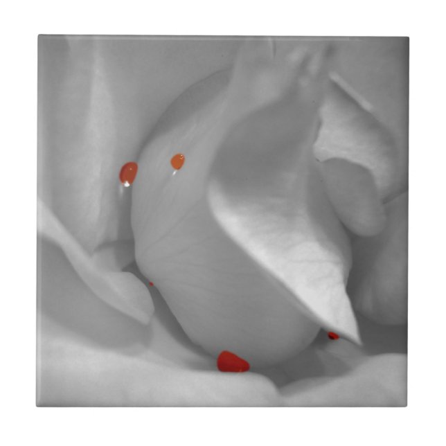 Azulejos decorativos de acuarela eoliana (Frente)