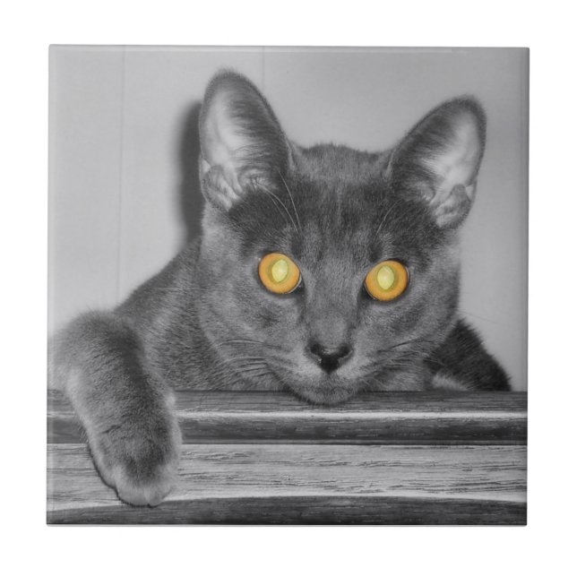 Azulejos decorativos de oro de Dusky (Frente)