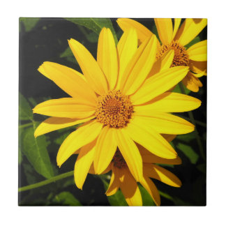 Azulejos decorativos de oro de girasol