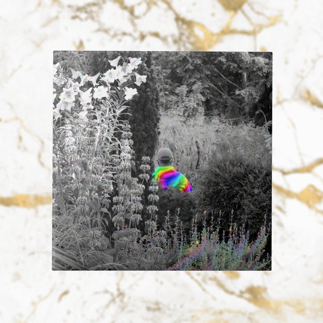 Azulejos decorativos del Rainbow Garden Visitantes (Subido por el creador)