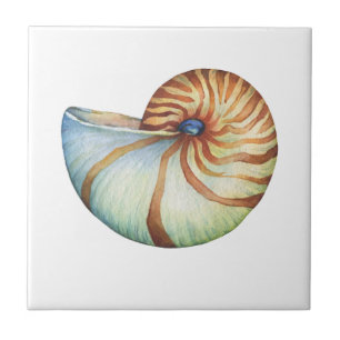 Azulejos - Pequeños 10,8 cm x 10,8 cm Concha Marin