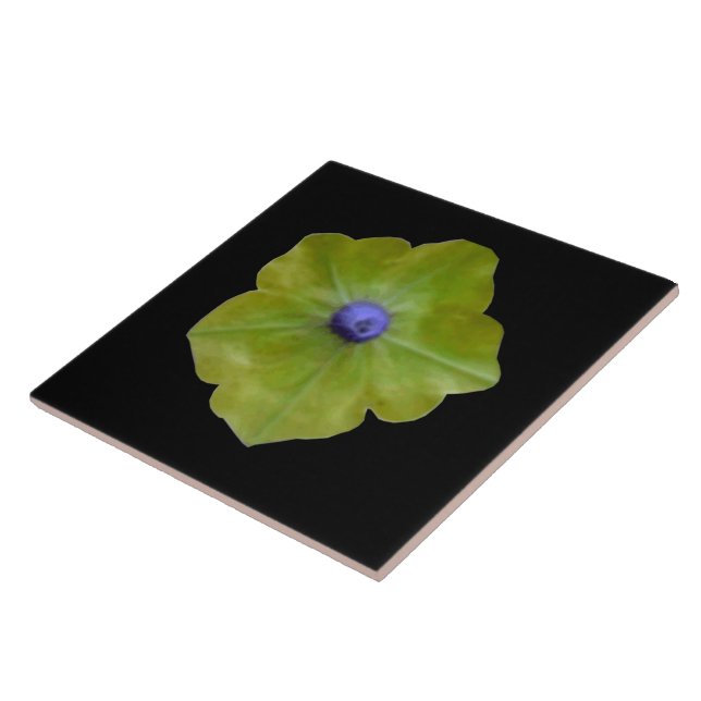 Azulejos verdes y azules de Petunia (Lado)