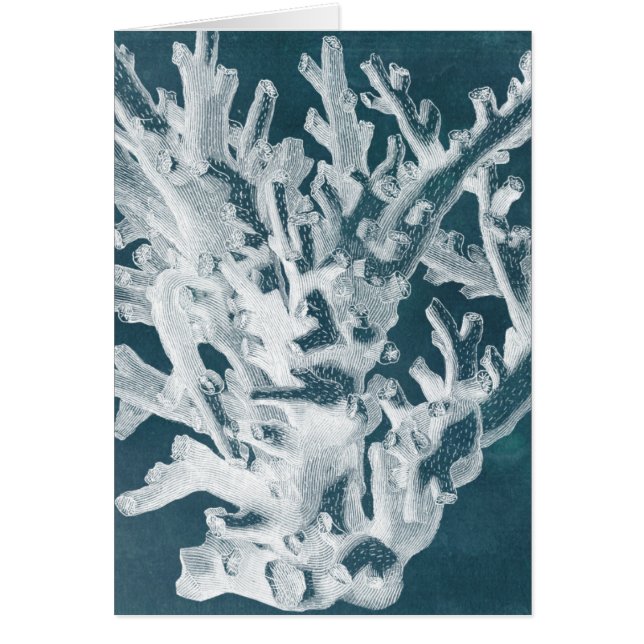 Azure Coral I (Frente)