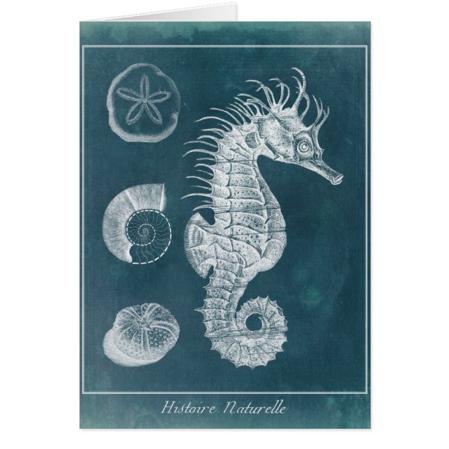 Azure Seahorse Study I (Frente)
