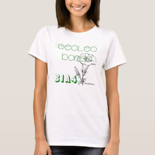 B1A4 intentó caminar camiseta