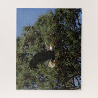 B3BB, rompecabezas de papá Berry