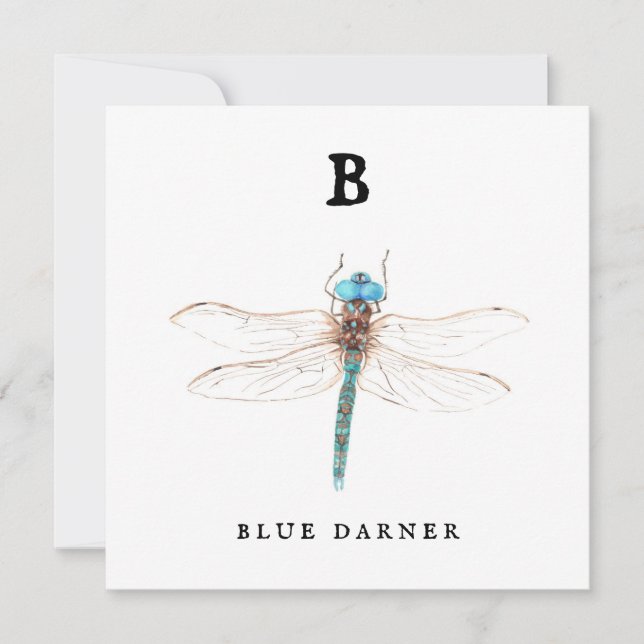 "B" Blue Darner (Anverso)