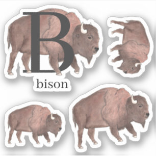 B para Pegatinas Bison