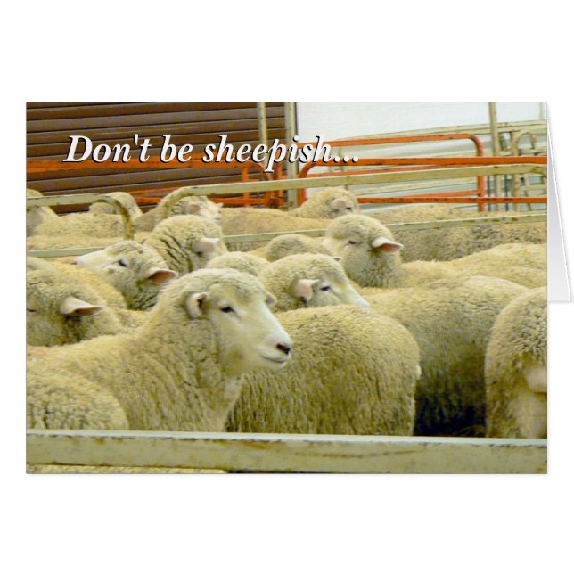 ¡Baaaaa! ¡- Permanezca en contacto! (Anverso (Horizontal))