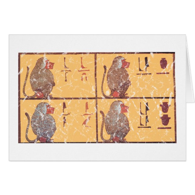 babuinos (Anverso (Horizontal))