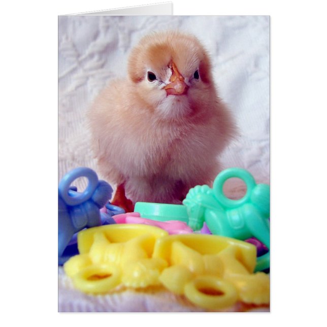 Baby Chick (Frente)