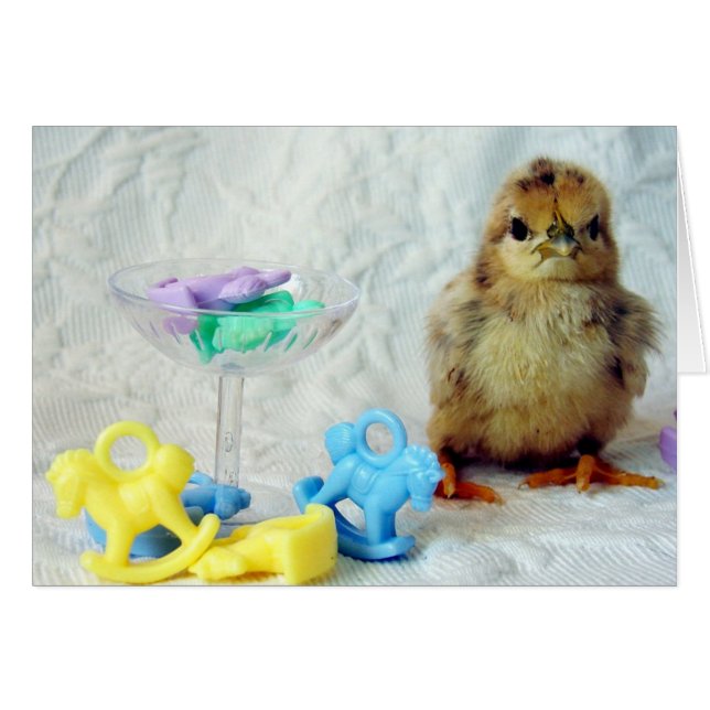 Baby Chick (Anverso (Horizontal))