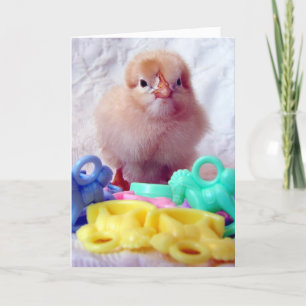 Baby Chick, Perfecto Para La Tarjeta De Saludo Bab