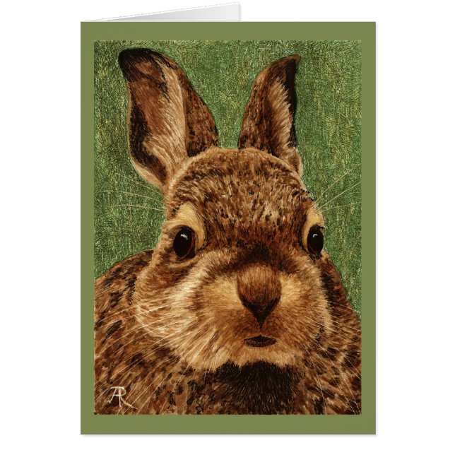 Baby Cottontail Rabbit (Frente)
