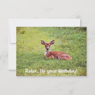 Baby Deer Fawn Relajante Tarjeta de cumpleaños pla