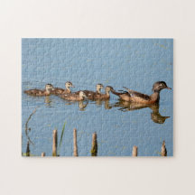 Baby Ducks in a row following Mom Jigsaw Puzzle