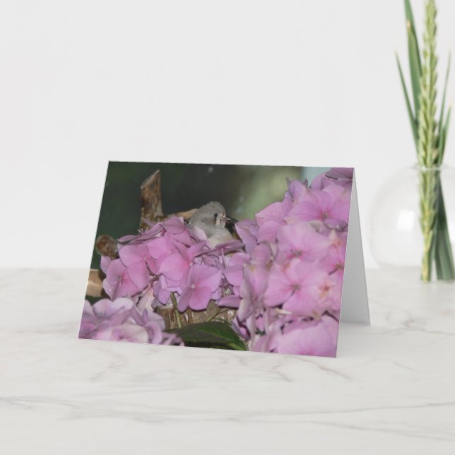 Baby Finch con tarjeta de saludo Hydrangias (Anverso)