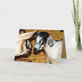 Baby Goat and Mom - Tarjeta de saludo en blanco