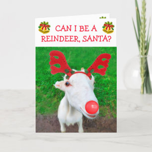 Baby Goat Quiere Ser Navidad De Renos