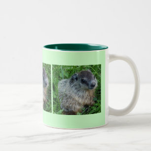 Baby Groundhog 11 Oz. Jarra