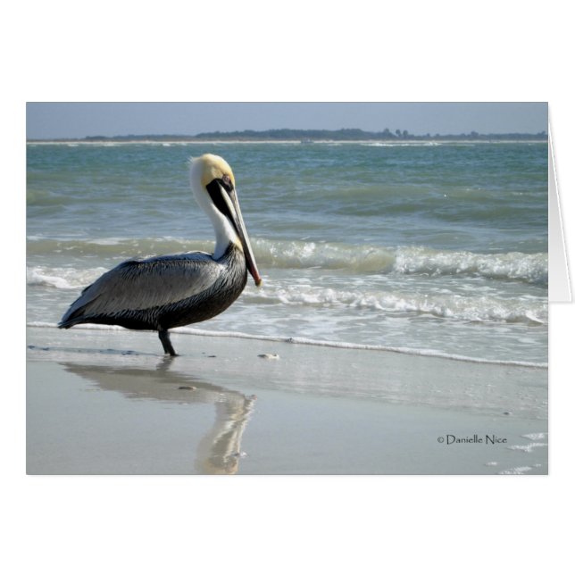 Baby Pelican Card (Anverso (Horizontal))