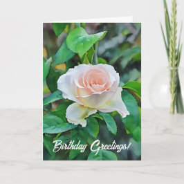 Baby Pink Rose Flower Garden Tarjeta de cumpleaños