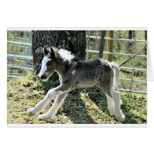 Baby Shaolin 2 (Anverso (Horizontal))