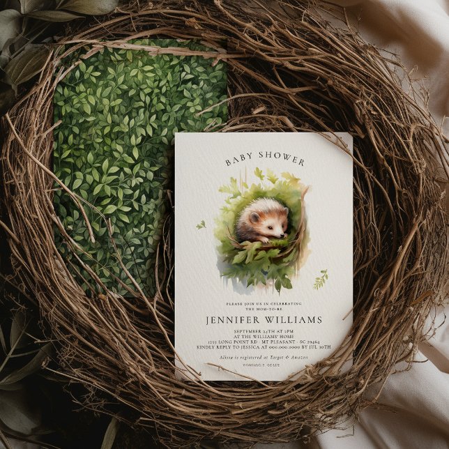 Baby Shower Hedgehog Whimsical Watercolor (Subido por el creador)