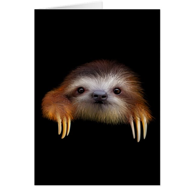 Baby Sloth (Frente)