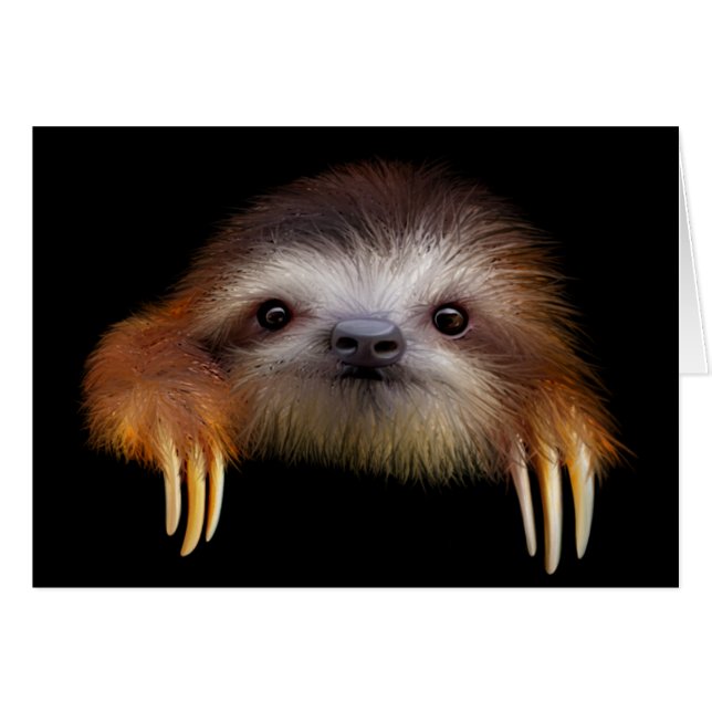 Baby Sloth (Anverso (Horizontal))