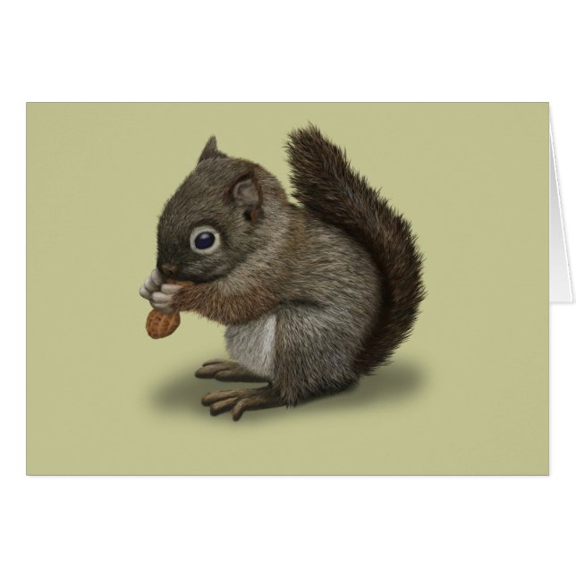 Baby Squirrel (Anverso (Horizontal))