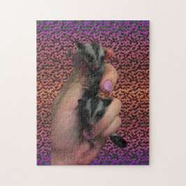 Baby Sugar Glider Puzzle